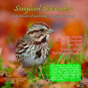 Songbird Serenade 3 by [nature sounds] - album cover