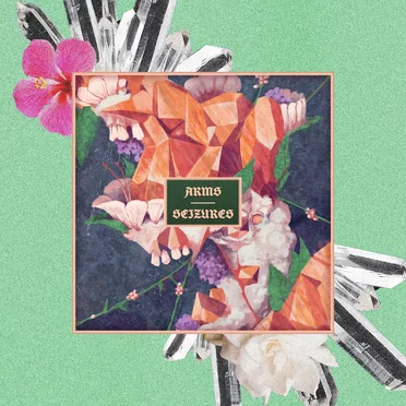 Arms / Seizures