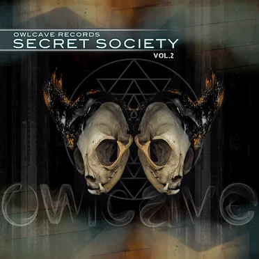 OWLC▲VE RECØRDS V.A. S3CR3T SØCI3TY Volume 2 by Various Artists - album cover
