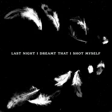 Last Night I Dreamt That I Shot Myself