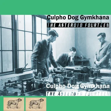 The Asteroid Fourteen by Culpho Dog Gymkhana - album cover