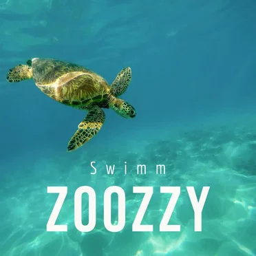 Swimm