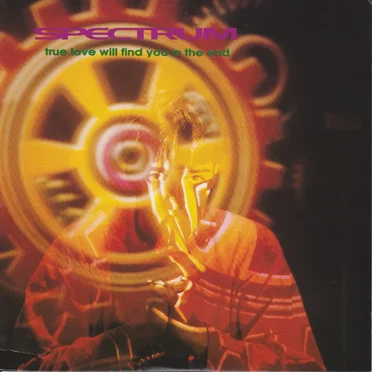 True Love Will Find You in the End