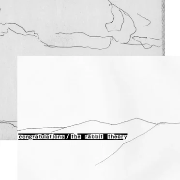 Congratulations / The Rabbit Theory