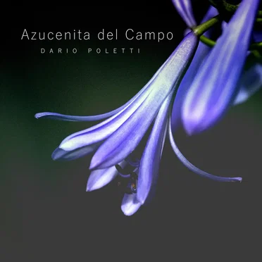 Flor Curia