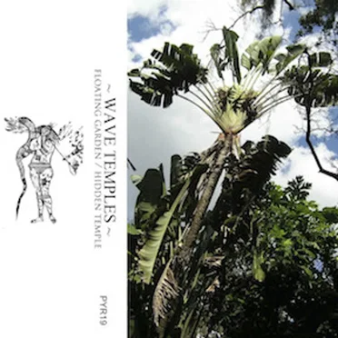 Floating Garden / Hidden Temple by Wave Temples - album cover