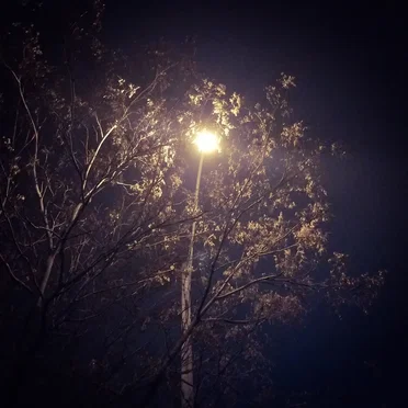 Away From Your Shadow