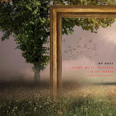 Spare Me (unplugged version)