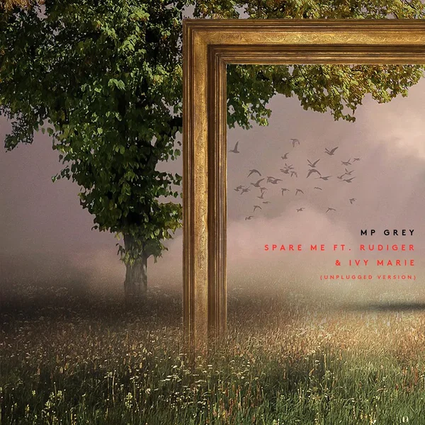 Spare Me (unplugged version)