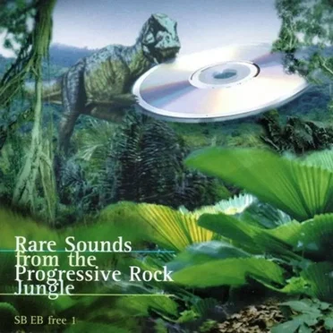 Rare Sounds From the Progressive Rock Jungle by Various Artists - album cover
