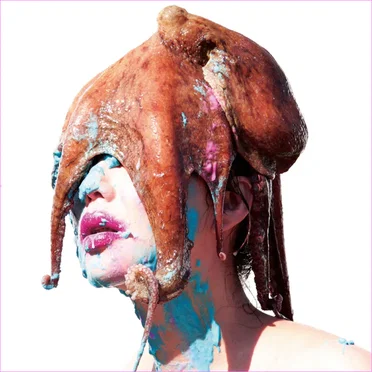 camouflage by Qomolangma Tomato - album cover