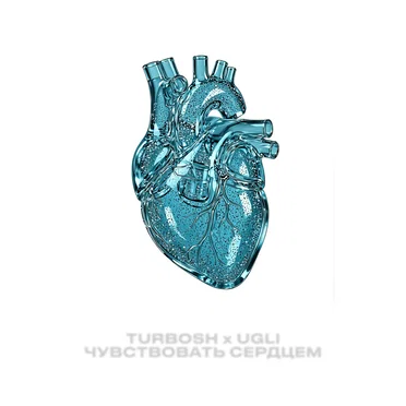 Чувствовать сердцем by Turbosh - album cover