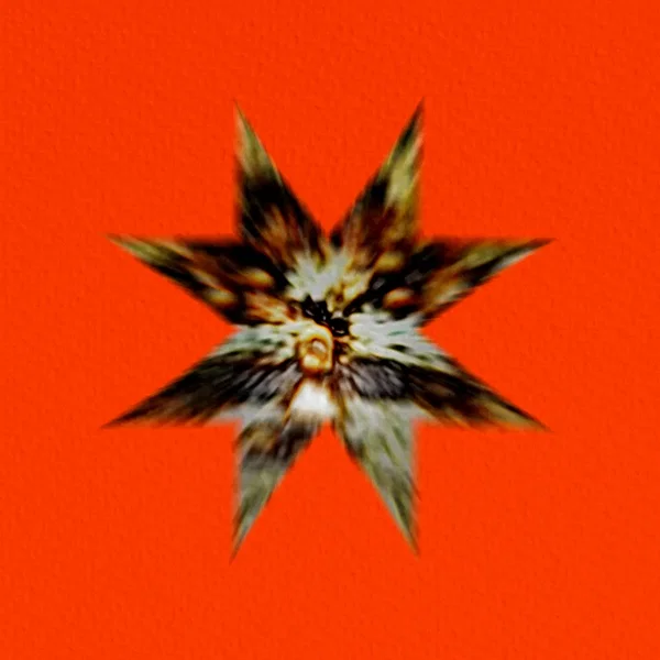 Castrato Raw (Fullback)