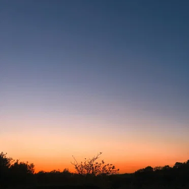 The Dying of the Evening