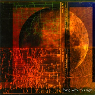 Flying Way Too High by Various Artists - album cover