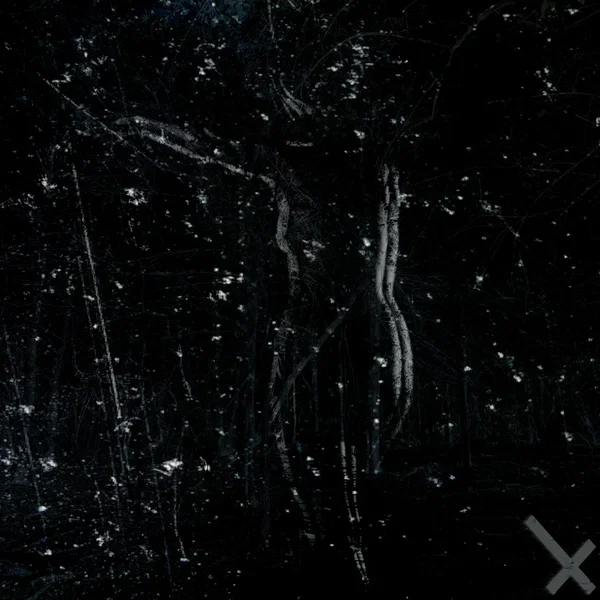 Alone/Apart