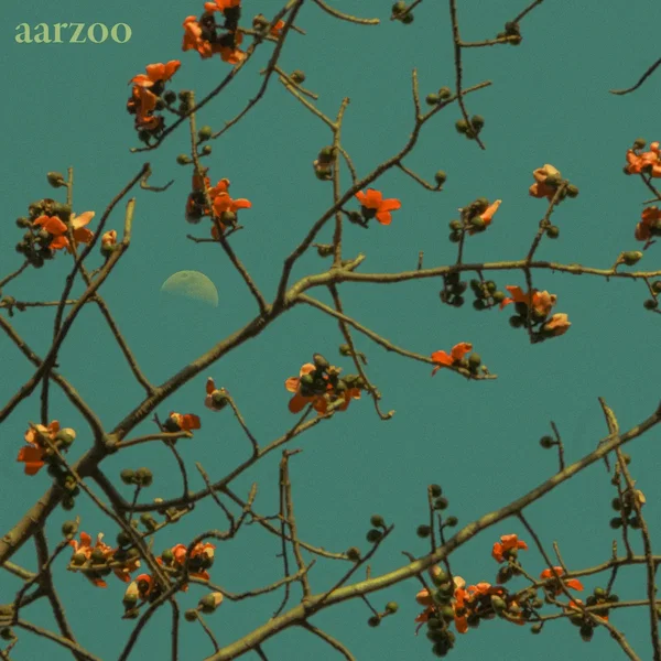 Aarzoo