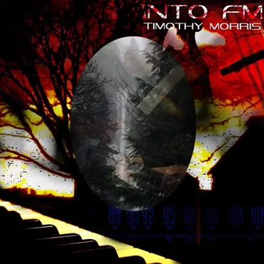 Into FM by Timothy Morris - album cover