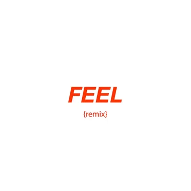 Feel (remix)