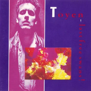 Last Free Swans! by Toyen - album cover