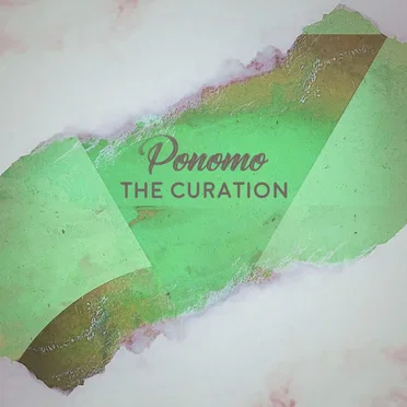 The Curation by Ponomo - album cover