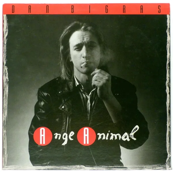 Ange animal