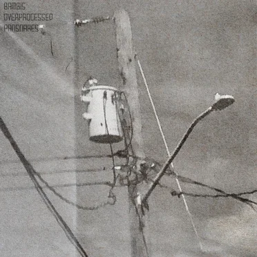 bambi's overprocessed pansnares by Dj Bamberino - album cover