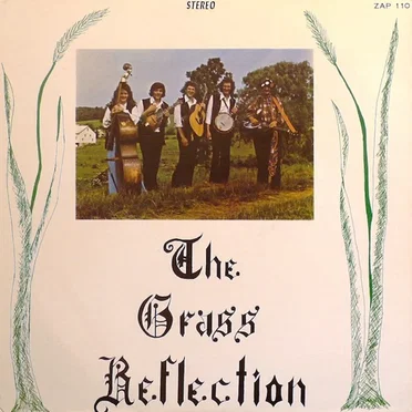 The Grass Reflection