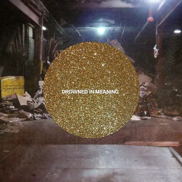 Drowned In Meaning by Realistic - album cover