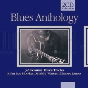 Blues Anthology - 32 Steamin’ Blues Tracks by Various Artists - album cover