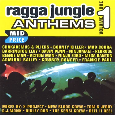 Ragga Jungle Anthems, Volume 1 by Various Artists - album cover