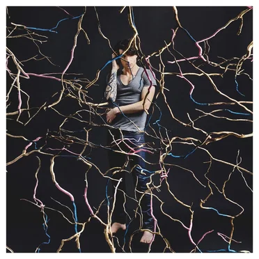 Arbre de vie by Louis Arlette - album cover