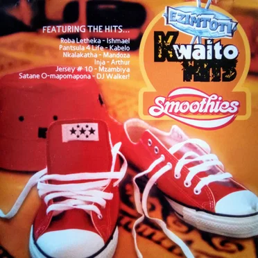 Ezimtoti Kwaito Hits by Various Artists - album cover
