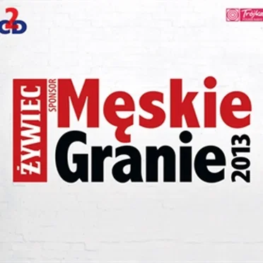 Męskie Granie 2013 by Męskie Granie Orkiestra - album cover