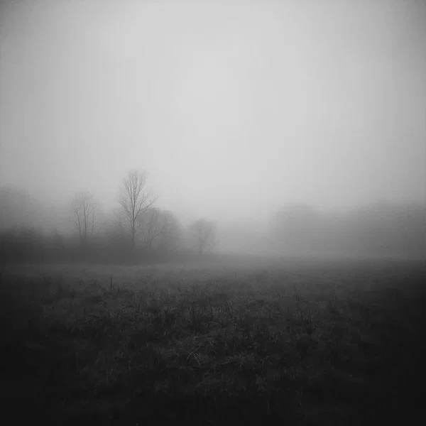 Ripcord (Dream Sequence Version)