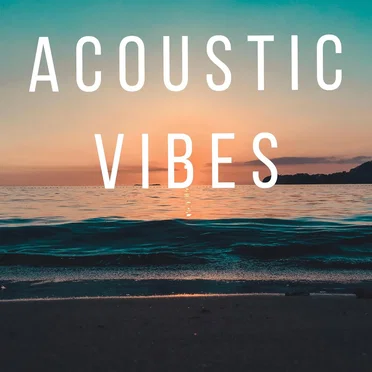 Acoustic Vibes by Various Artists - album cover