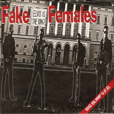 Big Blimp U.F.O. by Fake Females - album cover