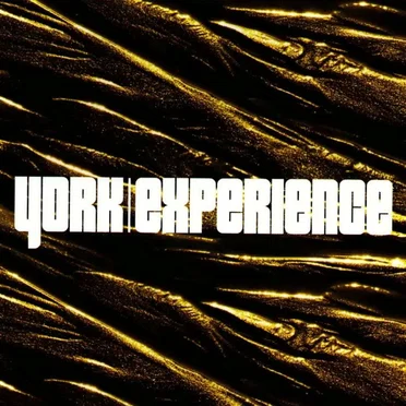 Experience