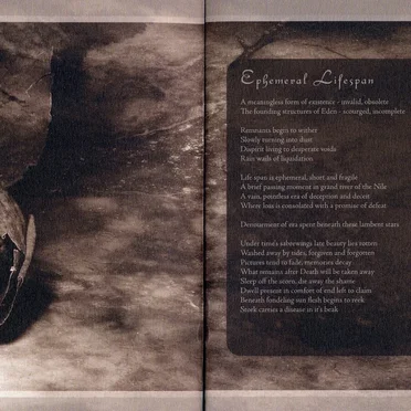 Lifestream Corrosion by Gloria Morti - album cover