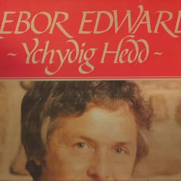 Ychydig Hedd by Trebor Edwards - album cover