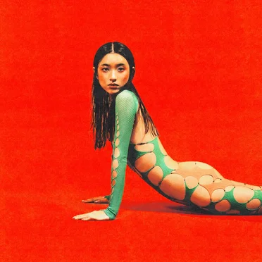 In the Zone by DIDI HAN - album cover