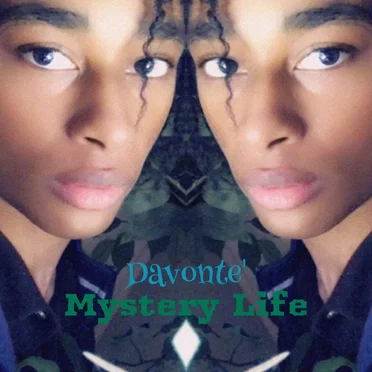 Mystery Life