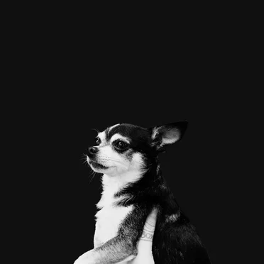 When This Life Is Over by And the Kids - album cover