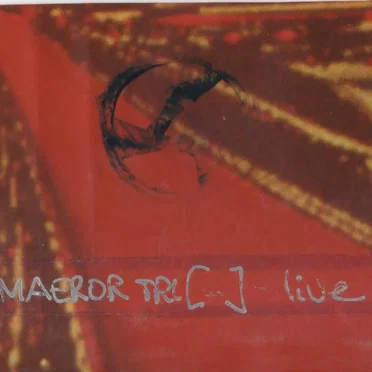 Live in Nevers at 'Musiques Ultimes'