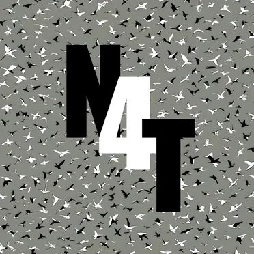 Migration Patterns (The N4T Remodel)