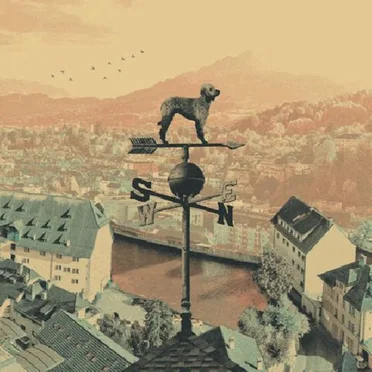Weathervane by Cold Collective - album cover