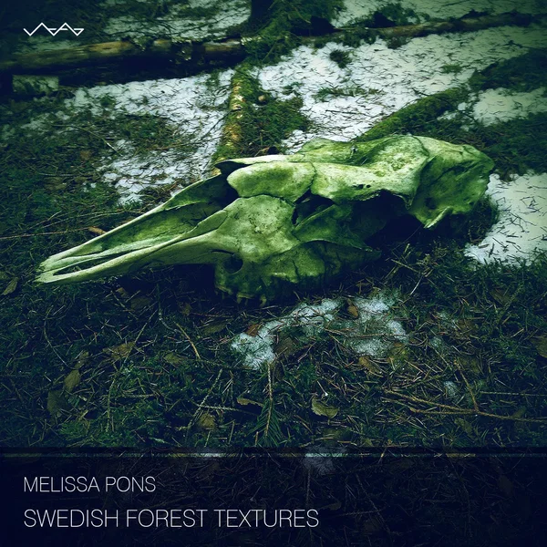 Swedish Forest Textures