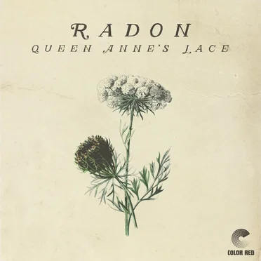 Queen Anne's Lace by Radon - album cover