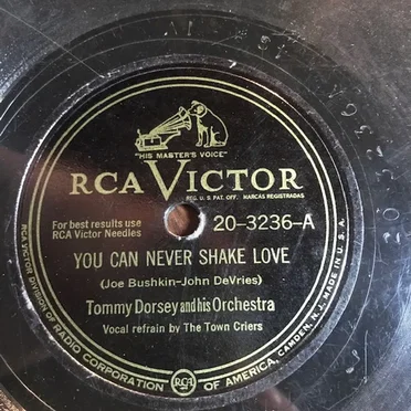 You Can Never Shake Love / You Know What the Trouble Is, Baby