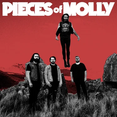 Pieces of Molly by Pieces of Molly - album cover